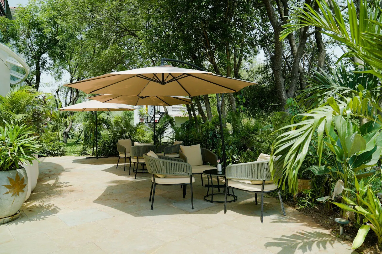 Terraza con plantas y mobiliario de exterior